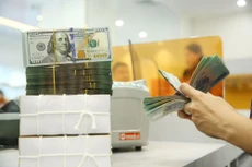 Thông tư số 02/2022/TT-BKHĐT hướng dẫn về thẩm quyền giám sát, đánh giá hoạt động đầu tư nước ngoài, trong đó có việc góp vốn của của các tổ chức kinh tế. Ảnh: Tấn Tiên