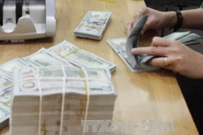 Tỷ giá USD ngày 26/3 có sự biến động trái chiều giữa các ngân hàng thương mại. Ảnh minh họa: TTXVN