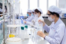 DHG trả cổ tức bằng tiền mặt, tỷ lệ 35%