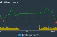 Nhịp trượt dốc bất ngờ chiều nay của VN-Index gắn liền với biến động tại VHM và VNM