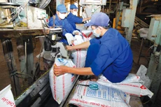 Theo Tổng cục Hải quan, lượng phân bón xuất khẩu của cả nước trong 3 tháng đầu năm 2022 đạt 474.268 tấn, tăng 42,6% so với cùng kỳ 2021, thu về gần 307 triệu USD. Ảnh: Nhã Chi