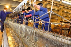 Năng lượng tiêu hao cho một đơn vị sản phẩm trong nhiều ngành công nghiệp của Việt Nam cao hơn khoảng 1,3 đến 1,6 lần so với các nước trong khu vực. Ảnh: Tiên Giang