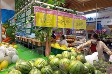 Ảnh minh họa. (Ảnh: Dự Toán/TTXVN)