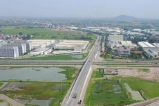 Bắc Giang đấu giá 97 lô đất ở tại huyện Việt Yên