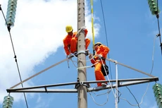 Báo động tình trạng vật liệu kém chất lượng lọt vào dự án