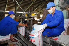 Nhiều doanh nghiệp phân bón lo ngại khi chi chi phí nguyên liệu đầu vào cho sản xuất vẫn ở mức cao. Ảnh: Tiên Giang