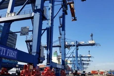 TCL chia cổ tức 42% bằng tiền mặt