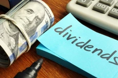 LHG chuẩn bị trả cổ tức năm 2021 với tỷ lệ 19%