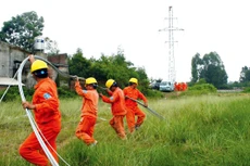 HSMT yêu cầu hợp đồng tương tự là gói thầu thuộc dự án hoặc công trình xây dựng thuộc các tỉnh miền Trung sẽ gây hạn chế cạnh tranh. Ảnh: Tường Lâm