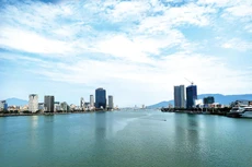 Đà Nẵng đấu thầu qua mạng quý I/2022 vượt xa chỉ tiêu về số lượng gói thầu