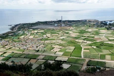 Dự án Khu dân cư Đồng Rừng được đầu tư trên diện tích 204.252,5 m2 tại huyện Lý Sơn, tỉnh Quảng Ngãi. Ảnh: Trung Trực