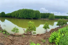 Gói thầu số 69 Bảo hiểm công trình xây dựng Hồ chứa nước ngọt do Sở Nông nghiệp và Phát triển nông thôn tỉnh Cà Mau làm chủ đầu tư. Ảnh minh họa: Tiên Giang