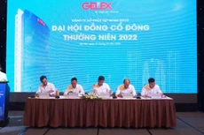 GELEX giải đáp thắc mắc về nợ vay tăng cao tại ĐHĐCĐ 2022