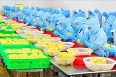 Thị trường Trung Quốc tăng nhập khẩu rau quả chế biến từ Việt Nam