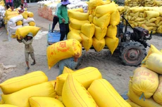 Gói thầu Mua gạo tẻ cung cấp cho phạm nhân Trại giam Đắc Tân các tháng cuối năm 2022 có giá 2,339 tỷ đồng. Ảnh minh họa: Song Lê