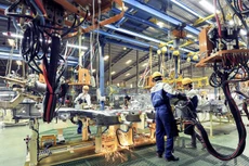 Ảnh minh họa: Internet