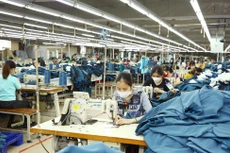 Sau 2 năm thực thi Hiệp định Thương mại tự do Việt Nam - EU, nhiều doanh nghiệp vẫn chưa được hưởng ưu đãi thuế quan. Ảnh: Tiên Giang