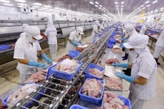 Xuất khẩu cá tra trong tháng 10 giảm sâu nhất kể từ đầu năm