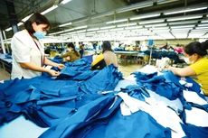 Trong quý III, chỉ số giá nguyên, nhiên, vật liệu dùng cho sản xuất tăng 5,92% so với cùng kỳ năm ngoái, tạo sức ép lên chi phí sản xuất của doanh nghiệp