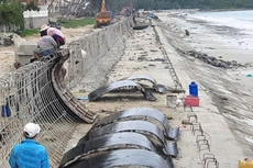 Thời gian thi công công trình kè phụ thuộc vào thủy triều, nên việc đẩy nhanh tiến độ vào mùa mưa ở Bình Thuận là rất khó khăn. Ảnh minh họa: Tiên Giang