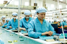 Trong bối cảnh khó khăn hiện tại, doanh nghiệp cần sự hỗ trợ của Chính phủ để quay trở lại guồng sản xuất, kinh doanh. Ảnh minh họa: Nguyễn Tùng