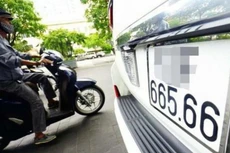 Ảnh minh họa: Internet