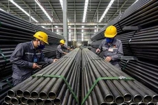 TLH sắp phát hành hơn 10,2 triệu cổ phiếu trả cổ tức năm 2021