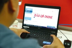 Hệ thống Đấu giá trực tuyến quốc gia dự kiến do cơ quan quản lý nhà nước về đấu giá tài sản ở Trung ương xây dựng. Ảnh minh họa: Nhã Chi