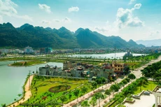 Ảnh minh họa: Internet