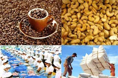 11 tháng, xuất khẩu nông, lâm, thủy sản đạt hơn 49 tỷ USD