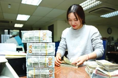 Ngân hàng Nhà nước vừa quyết định điều chỉnh biên độ tỷ giá giao ngay USD/VND từ mức ±3% lên ±5%. Ảnh: Lê Tiên