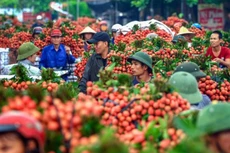 Xuất khẩu nông lâm thủy sản vượt trên 44 tỷ USD