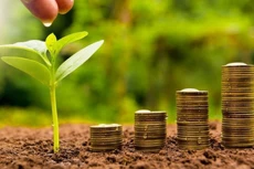 THG tạm ứng cổ tức năm 2022 với tỷ lệ 10%