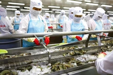 Tháng 11/2022, lần đầu tiên kể từ đầu năm, tăng trưởng xuất khẩu thủy sản rơi xuống mức âm (giảm trên 14%) so với cùng kỳ năm ngoái. Ảnh minh họa: Lê Tiên