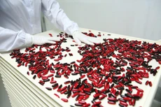 Tình trạng thiếu thuốc tại các cơ sở y tế đã tồn tại nhiều năm qua. Ảnh: Tiên Giang