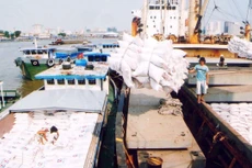 Ảnh minh họa: Internet