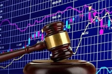 Nhiều cá nhân bị Ủy ban Chứng khoán Nhà nước phạt tiền