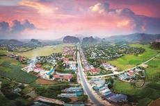 Hòa Bình đấu giá 102 thửa đất huyện Tân Lạc