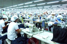 Ảnh minh họa: Internet