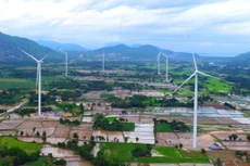 Chính sách hỗ trợ giá điện tái tạo chưa có định hướng cụ thể dẫn dắt, chính sách thiếu sự nhất quán, đồng bộ nên các chủ đầu tư rơi vào thế bị động. Ảnh: Nhã Chi