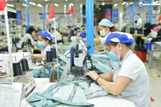 41% doanh nghiệp cho rằng đã được hưởng lợi từ EVFTA 