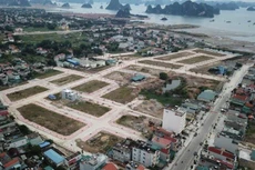 Đấu giá 53 ô đất Khu dân cư thôn Ninh Hải (Quảng Ninh)