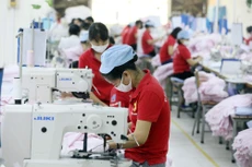 Tỷ giá và lãi suất tăng cao khiến nhiều doanh nghiệp, đặc biệt là doanh nghiệp phải nhập khẩu nguyên liệu gặp khó khăn. Ảnh: Tường Lâm