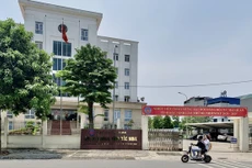 6 công chức hải quan bị đình chỉ công tác để phục vụ thanh kiểm tra nghi vấn nhận hối lộ của Tenma Việt Nam. Ảnh: Internet