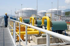 Các tập đoàn nhà nước nên xây dựng quy chế cởi mở để thu hút được nhiều doanh nghiệp tham gia, từ đó nâng cao hiệu quả sử dụng vốn