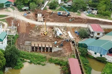 Tại nhiều gói thầu, Công ty TNHH MTV Xây dựng và Thương mại Hồng Quân, Công ty TNHH Thương mại Luận Thành bị loại trước khi xem xét về tài chính, giúp Tân Hưng trúng thầu. Ảnh: Nhã Chi