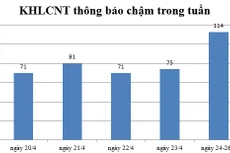 Ngày 24-26/4: Có 114 thông báo kế hoạch lựa chọn nhà thầu chậm