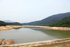 Ảnh chỉ mang tính minh họa: Internet