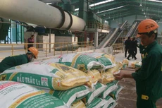 Phân bón Bình Điền tạm ứng cổ tức đợt 2/2019 tỷ lệ 7%