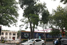 Công ty CP An Vượng Á Châu đã cải tạo, sửa chữa một số hạng mục nhưng không có giấy phép xây dựng tại khu đất số 6 - 8 Chùa Bộc (Hà Nội)